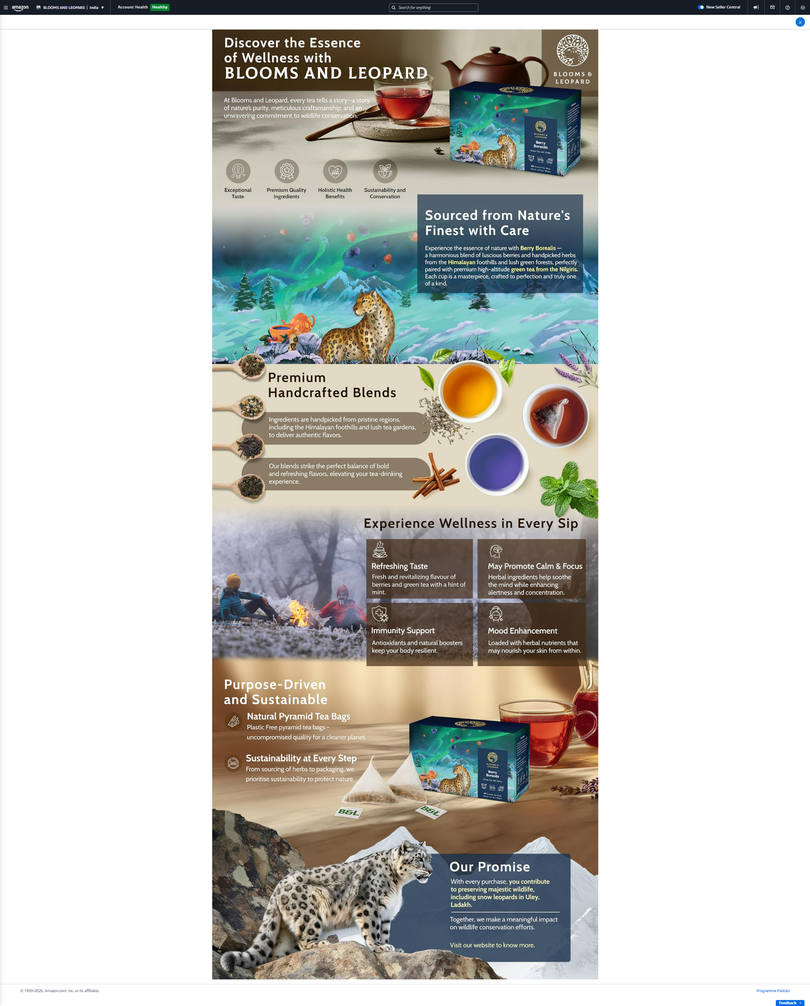 Amazon A+ Content design example 3