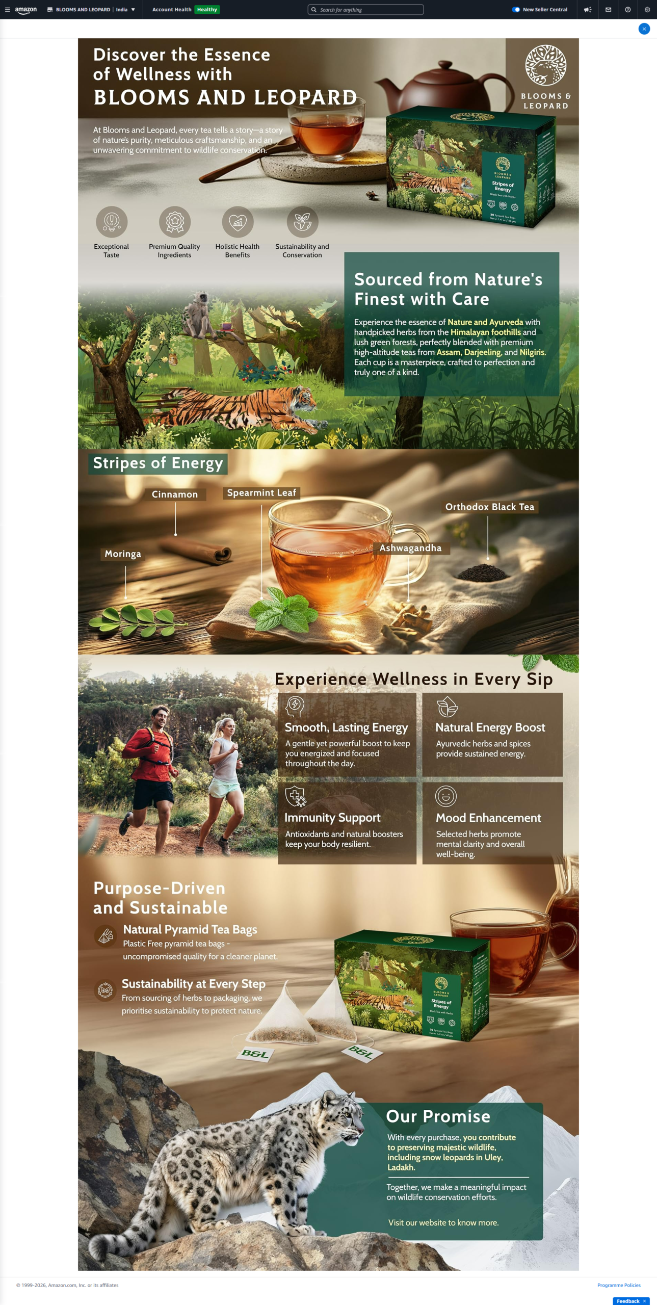 Amazon A+ Content design example 4