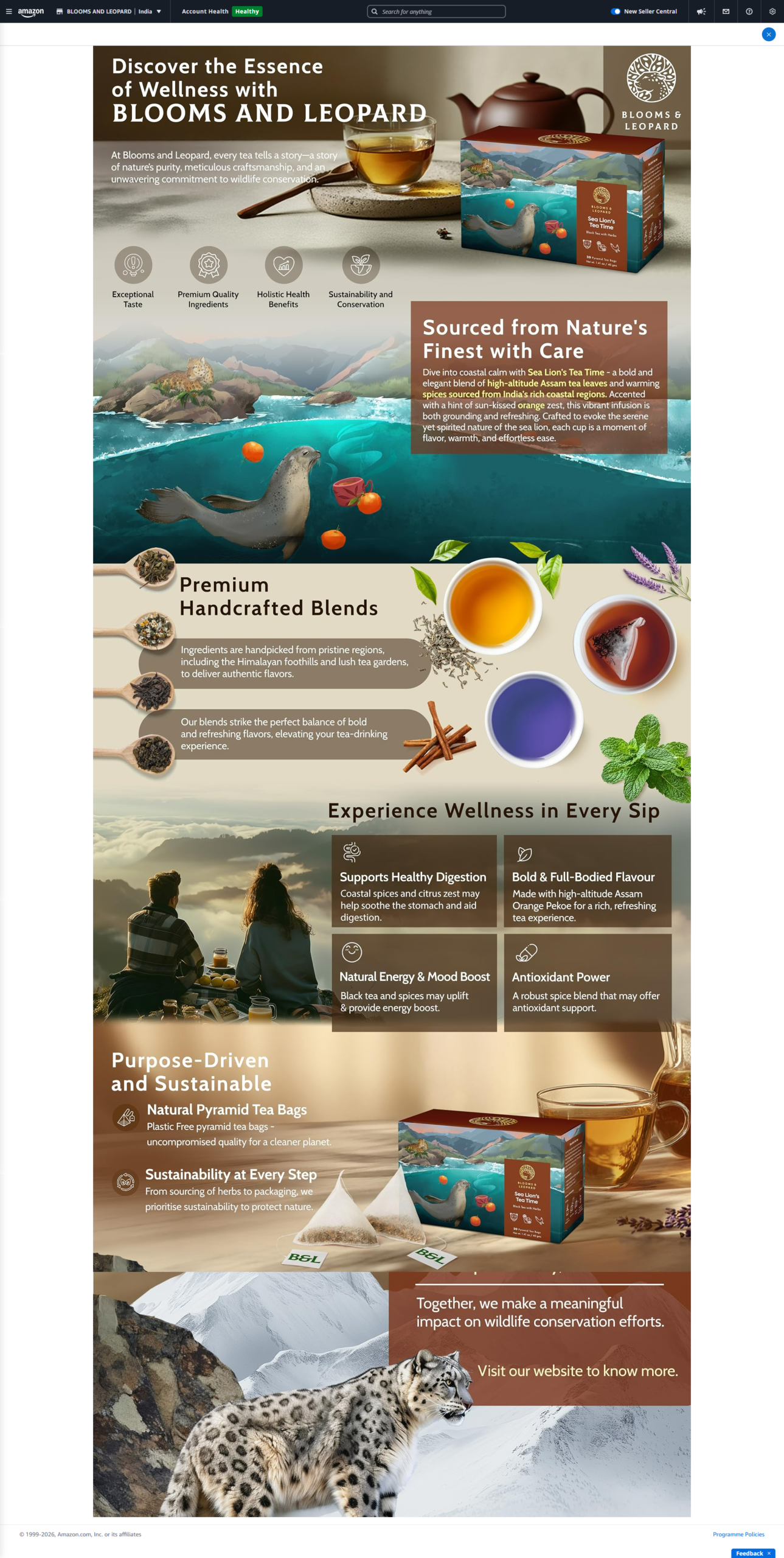 Amazon A+ Content design example 1