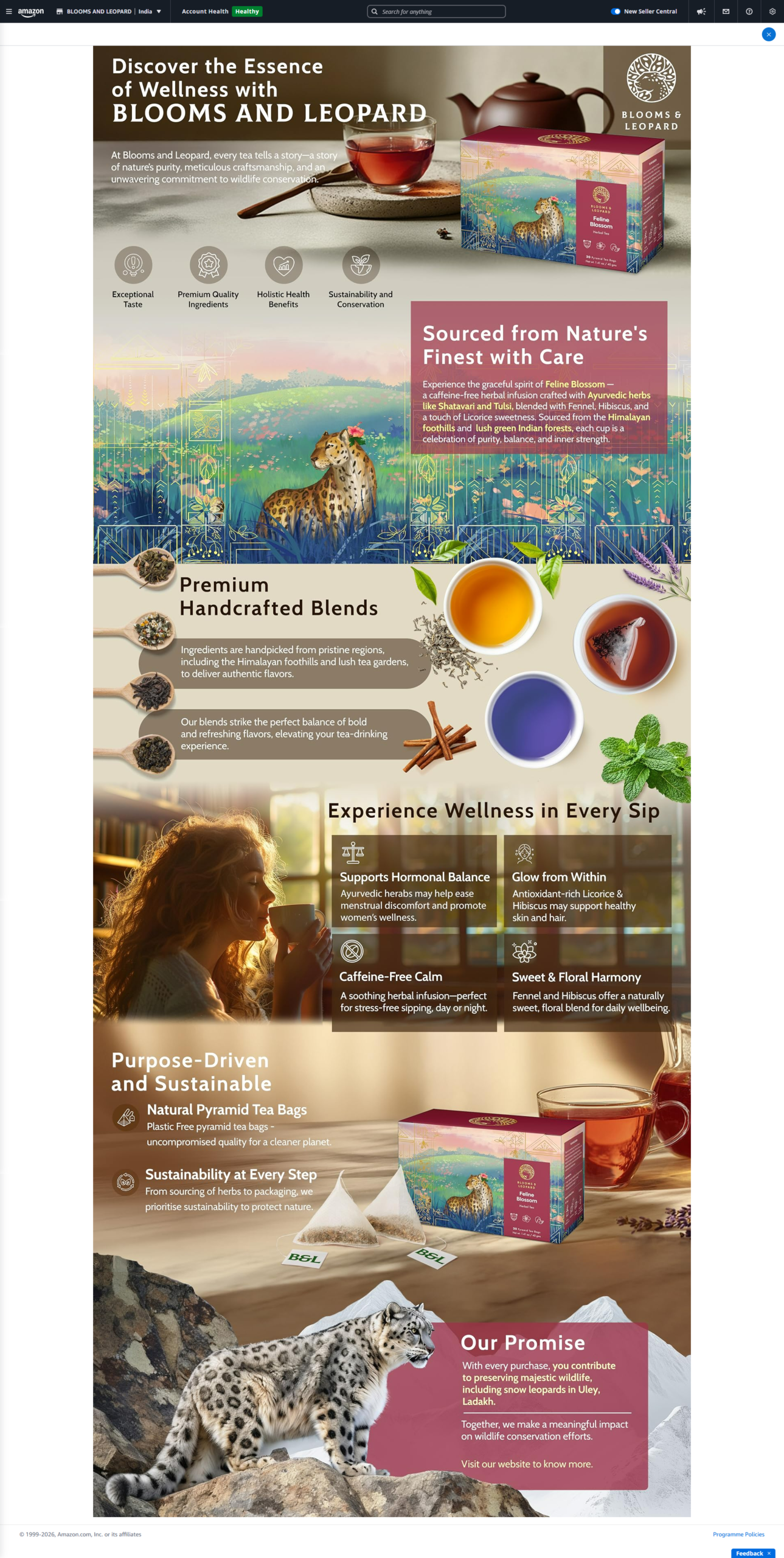 Amazon A+ Content design example 2