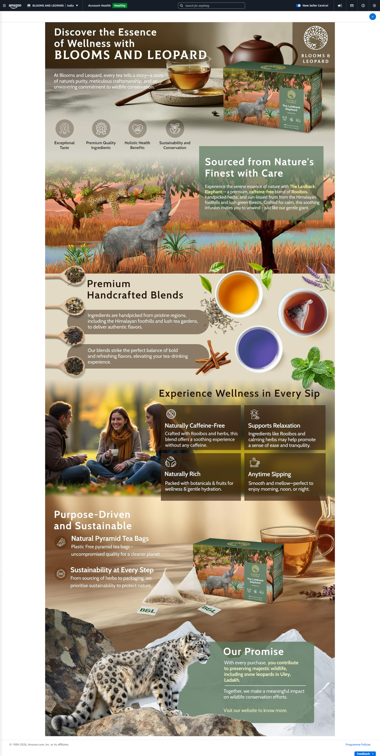 Amazon A+ Content design example 6